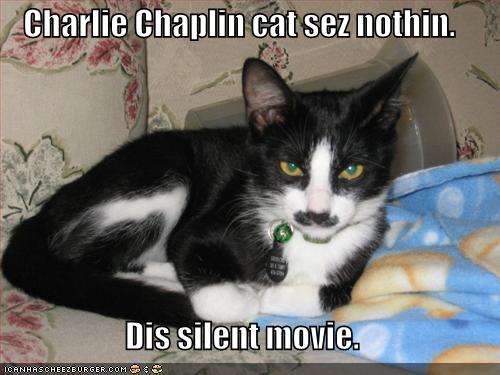 Charlie Chaplin cat sez nothin. Dis silent  movie.